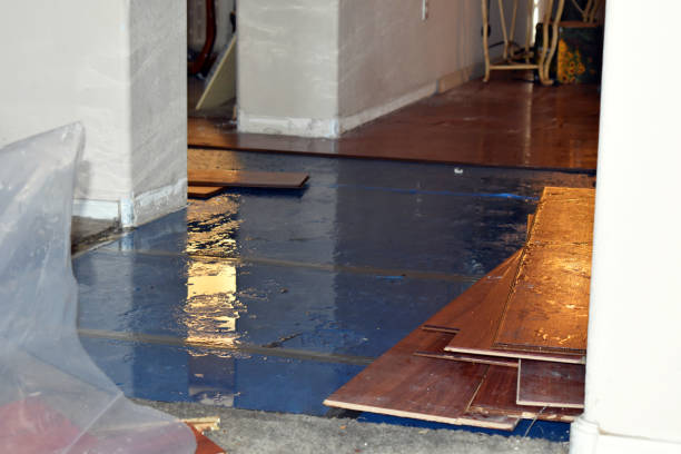 Professional Flood Cleanup technician working in Hartford, IL