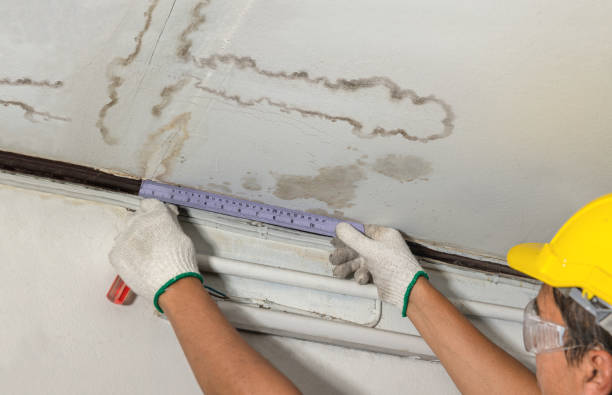 Reliable Flood Cleanup contractor in Hartford, IL by Water Damage Irwin